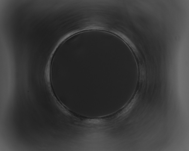 X0000100891246200806241225