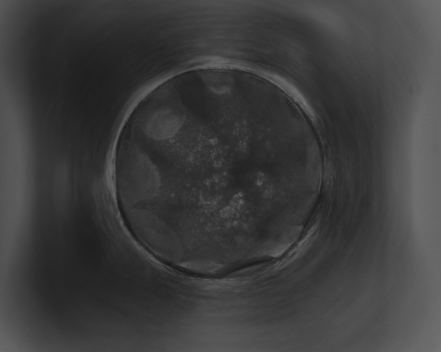X0000100891247200806241225