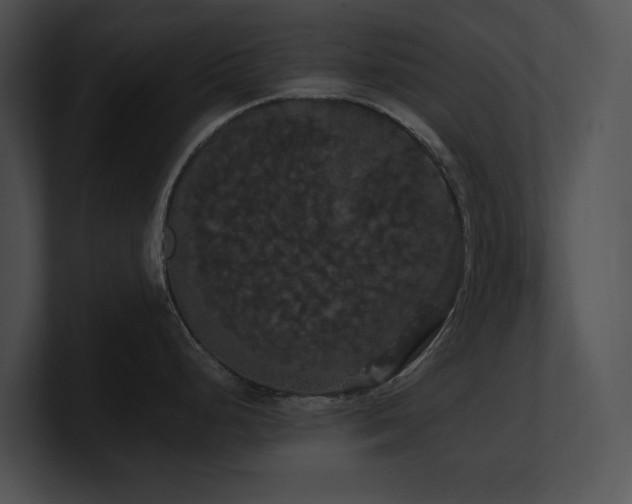 X0000100891248200806241225