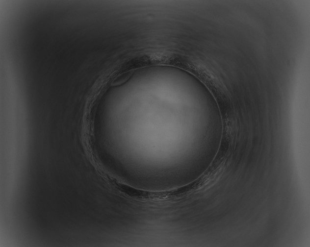 X0000100891249200806241224
