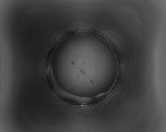 X0000100891250200806241224