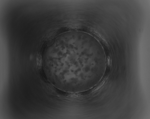 X0000100891251200806241224