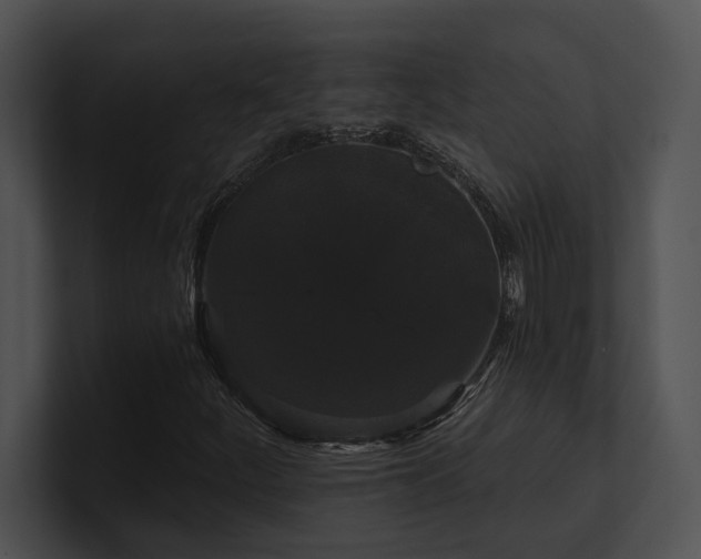 X0000100891252200806241224