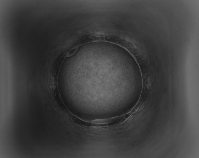 X0000100891253200806241224