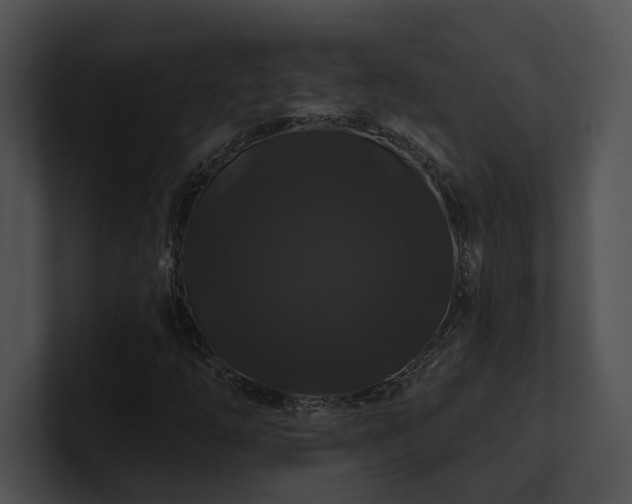 X0000100891254200806241224
