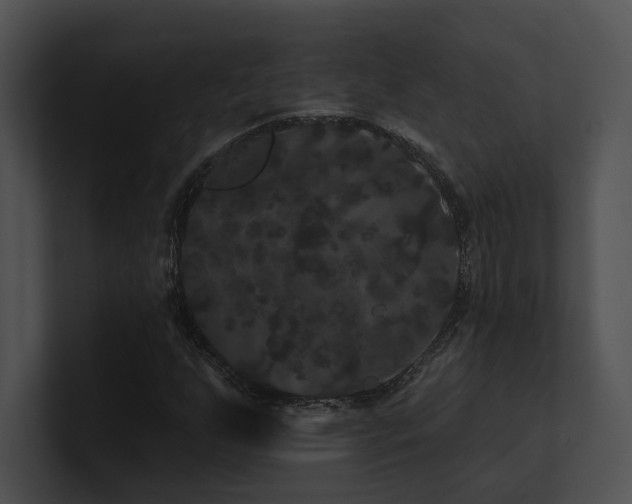 X0000100891255200806241224