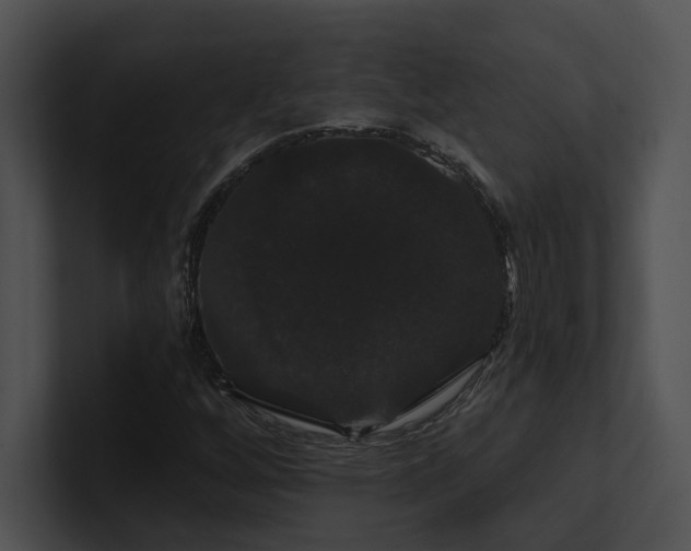 X0000100891256200806241224