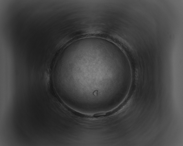 X0000100891257200806241224
