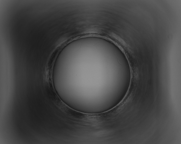 X0000100891258200806241224