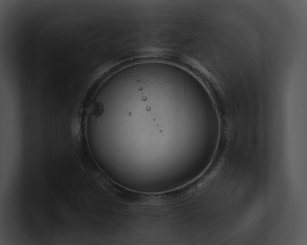 X0000100891259200806241224