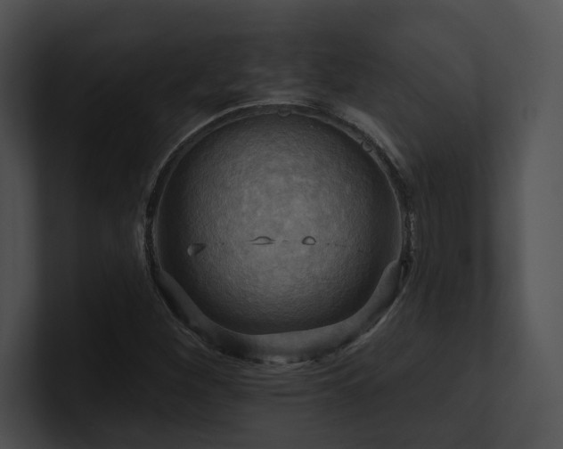 X0000100891260200806241224