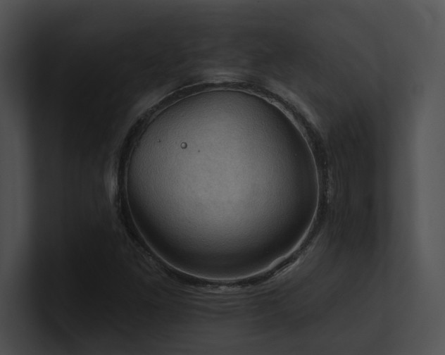 X0000100891261200806241224