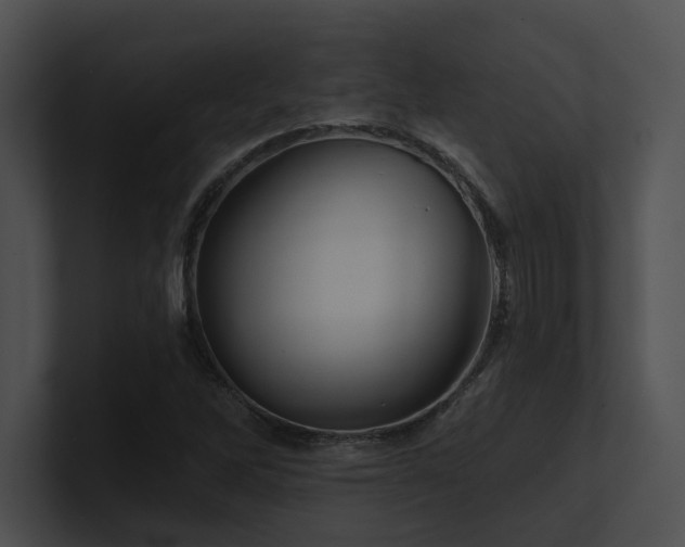X0000100891262200806241224