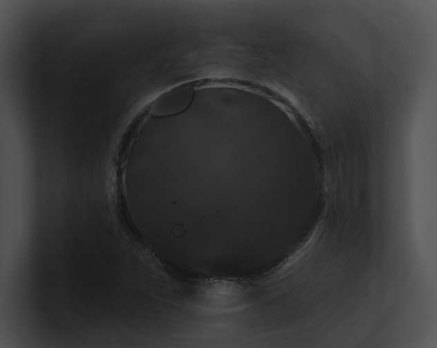 X0000100891263200806241224