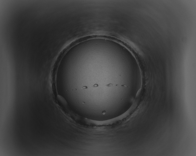 X0000100891264200806241224