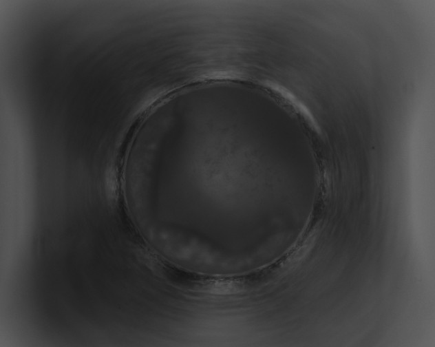 X0000100891266200806241224
