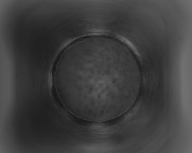 X0000100891267200806241224