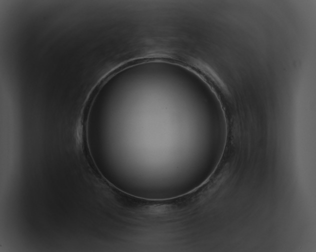 X0000100891268200806241224