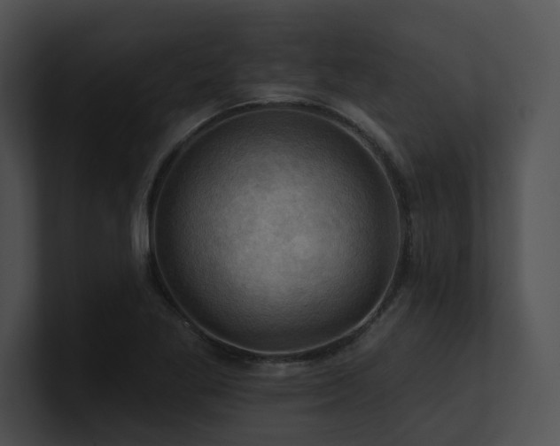 X0000100891269200806241224