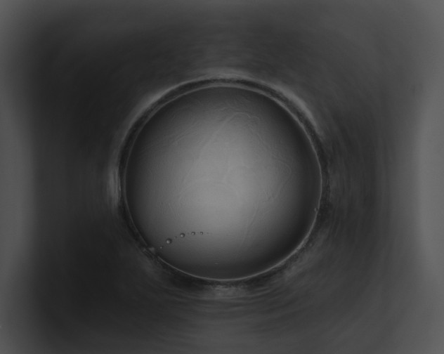 X0000100891271200806241224