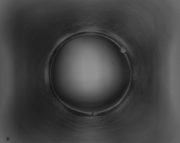 X0000100891272200806241224