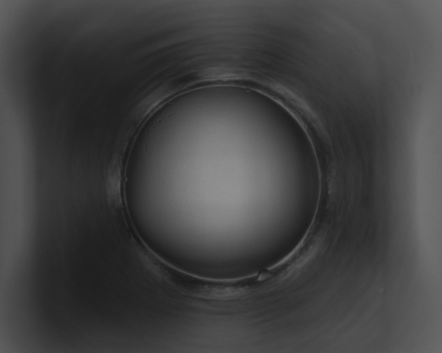 X0000100891273200806241224