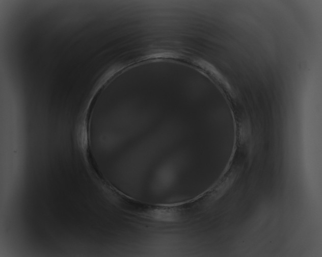 X0000100891274200806241224