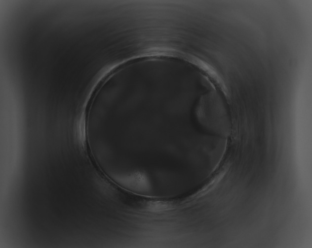 X0000100891275200806241224