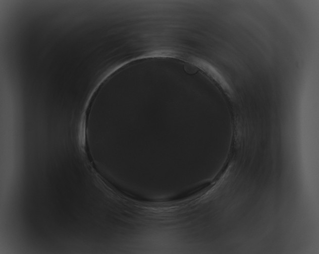 X0000100891276200806241224