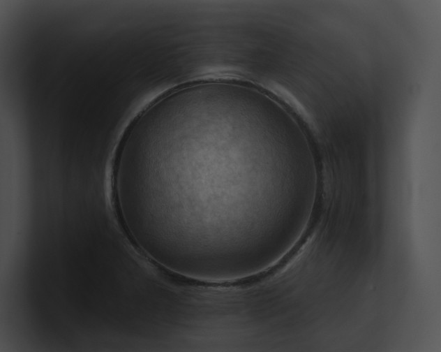 X0000100891277200806241224
