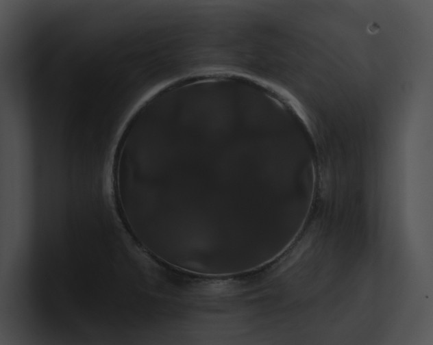 X0000100891279200806241224