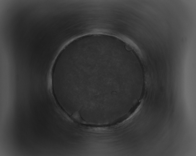 X0000100891280200806241224