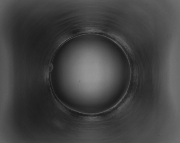 X0000100891281200806241224
