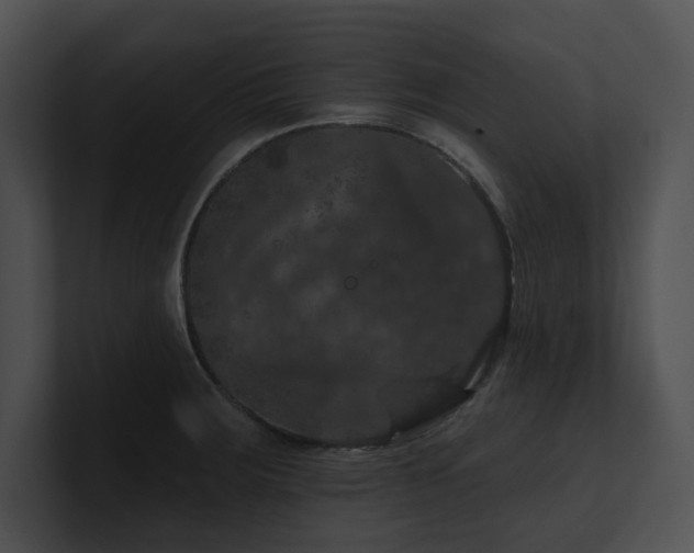 X0000100891283200806241224