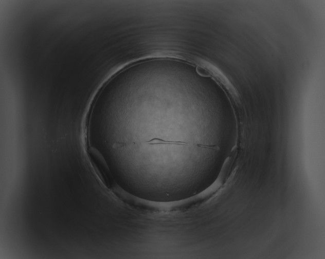 X0000100891284200806241224