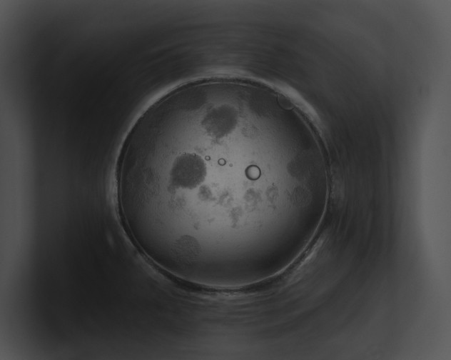 X0000100891287200806241224