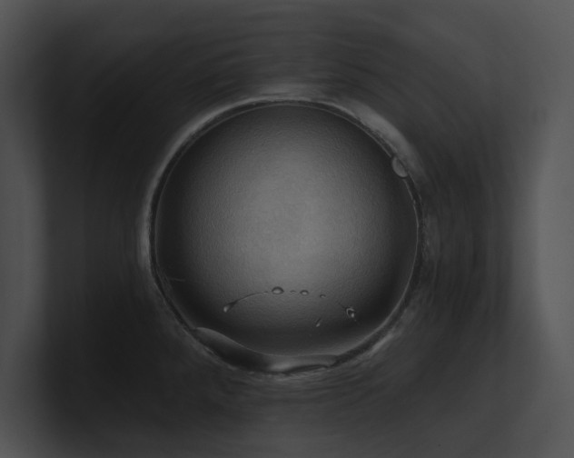 X0000100891288200806241224