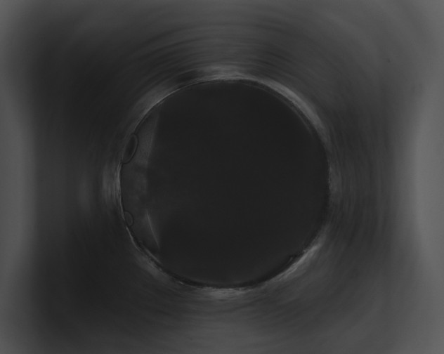 X0000100891289200806241224