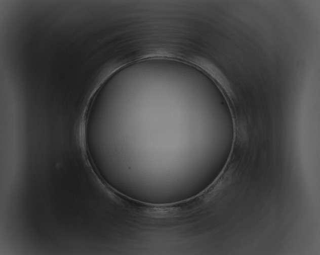 X0000100891290200806241224