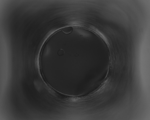 X0000100891291200806241224