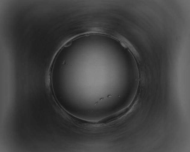 X0000100891292200806241224