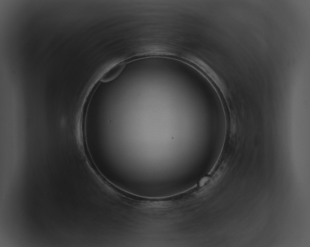 X0000100891293200806241224