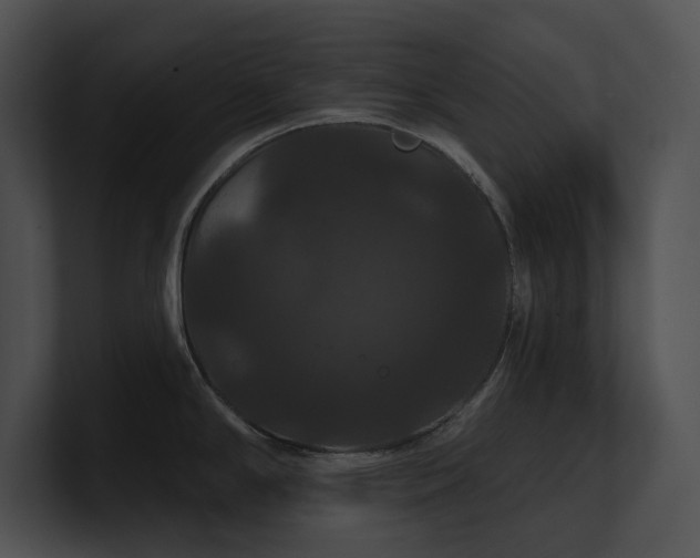 X0000100891294200806241224