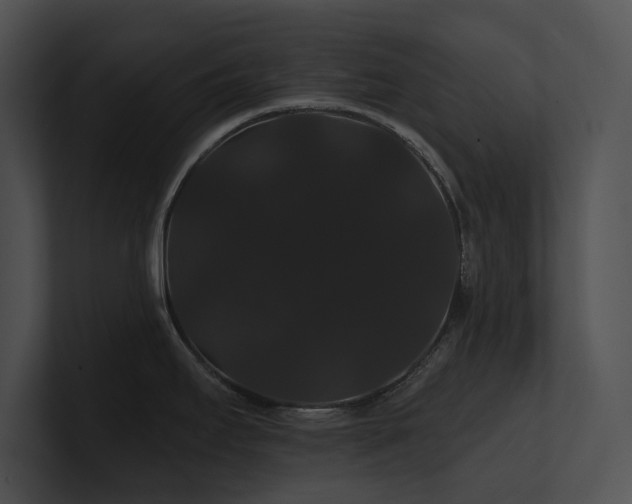 X0000100891295200806241224