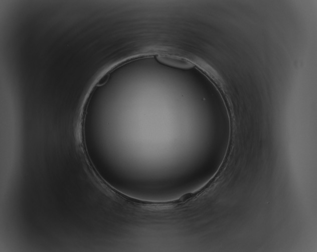 X0000100891296200806241223
