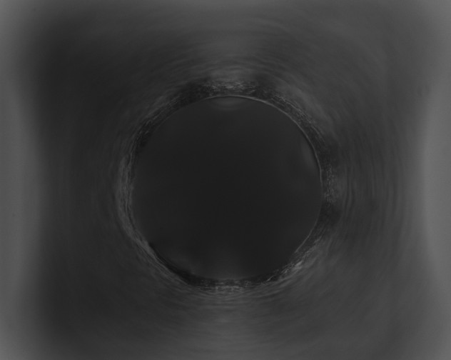 X0000100891297200806241223