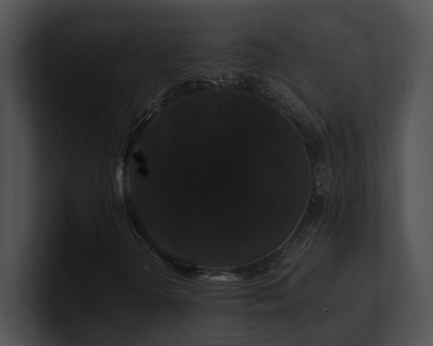 X0000100891298200806241223