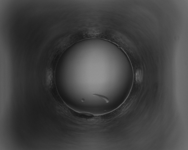 X0000100891299200806241223