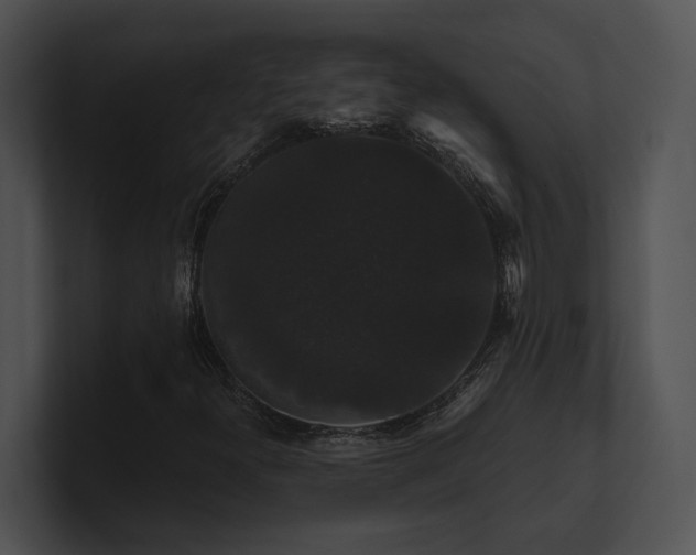 X0000100891300200806241223