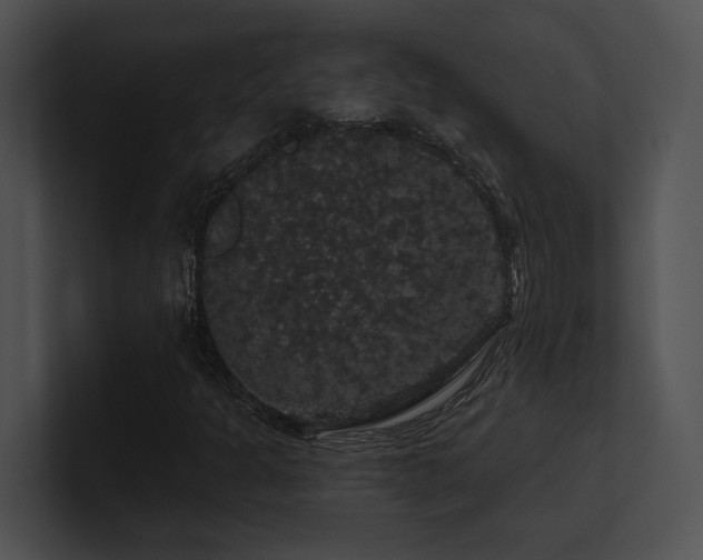 X0000100891301200806241223